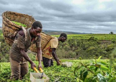 Weasler Engineering Drive Shafts Help Power Sustainable Food Production Worldwide