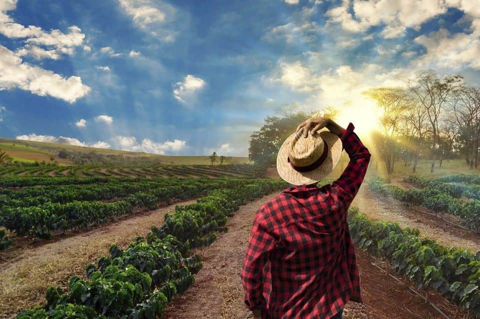 US Agriculture Industry Reacts to Brazil’s Rising Success